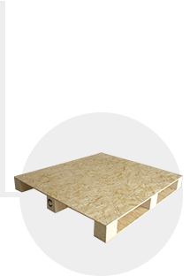 �ٻ����бP