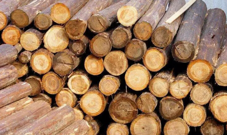 ���ľ������